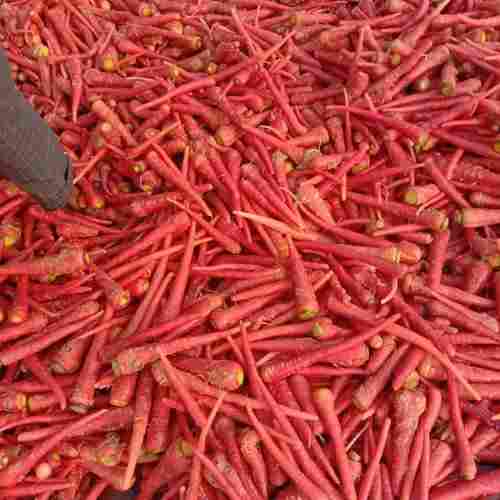 A Grade 100% Natural And Organic Grown Fresh Red Carrot