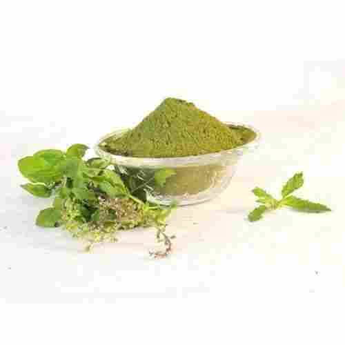 Herbal Immunity Booster Green Tulsi (Ocimum Sanctum) Leaf Extract Dry Powder