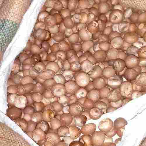 A Grade 100% Pure Organic and Natural Betel Nuts for Puja and Paan