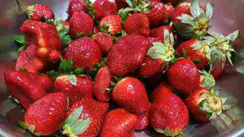 Fresh Strawberry 
