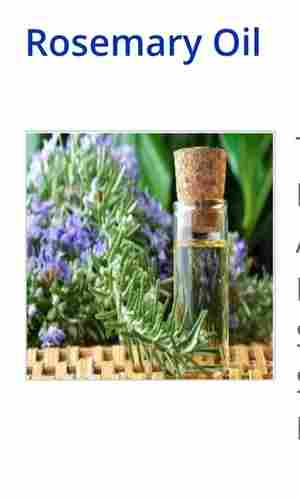 Hygienically Packed and 100 Percent Natural Essential Rosemary Oil