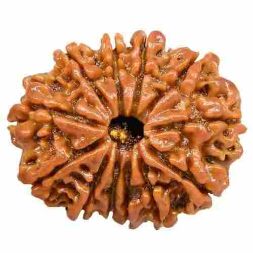 12 Mukhi Round Shape Brown Color Rudraksha Beads