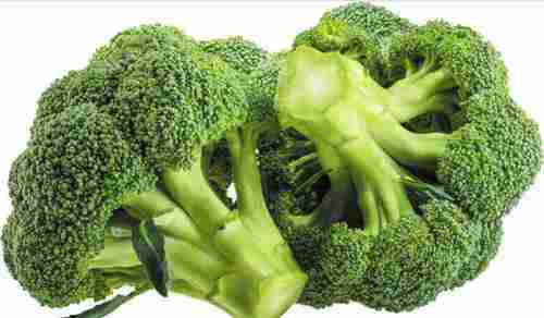 High Protein Healthy to eat Fresh Green Brocoli Vegetable for Cooking