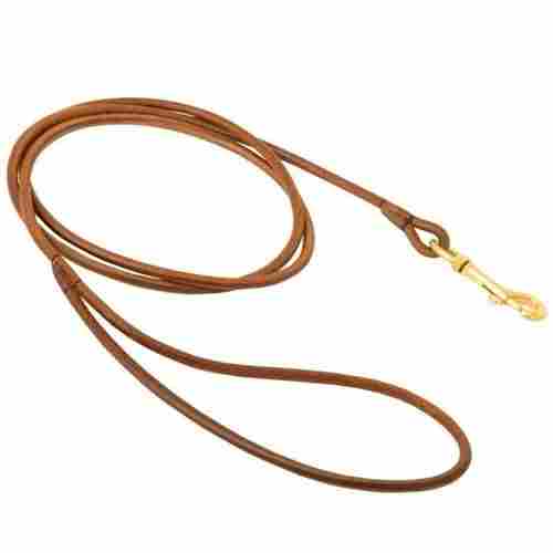 Plain Design And Brown Anti Wrinkle Leather Dog Leash With Golden Color Metal Buckle
