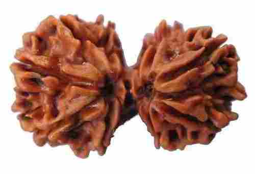 Original Brown Color Trijuti Rudraksha Beads