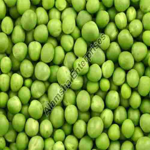 Rich Delicious Healthy Hygienic Natural Taste Fresh Green Peas