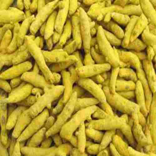 Antioxidant Rich Natural Taste Healthy Dried Yellow Turmeric Finger