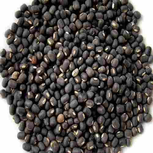 Healthy Natural Taste Rich Protein Dried Black Urad Dal