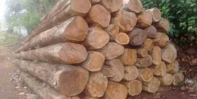 100% Natural Forest Teak Wood Logs For Furniture Core Material: ...