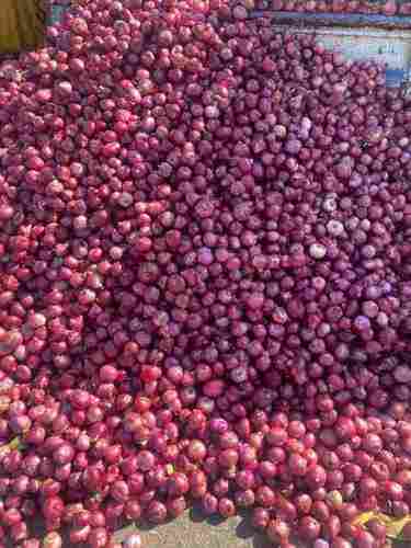 Hygienically Packed Red Onion without Artificial Flavour Packed in Jute Sacks