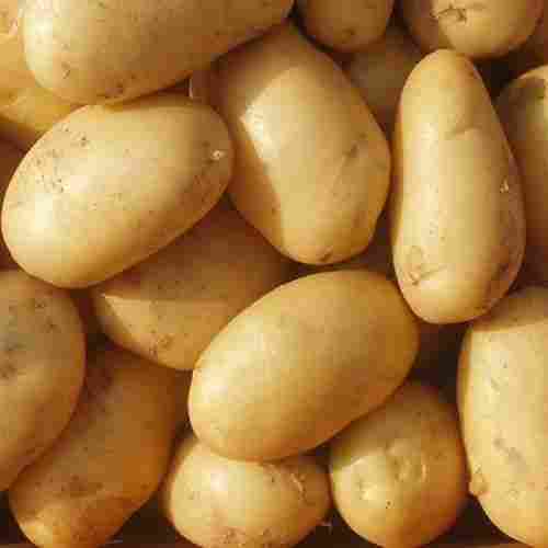 Magnesium 5 Percent Mild Flavor Rich Natural Delicious Taste Brown Organic Fresh Potato