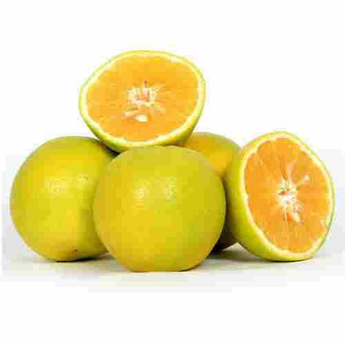 Vitamin C 50mg Pesticide Free Rich Natural Sweet Taste Organic Fresh Sweet Lime