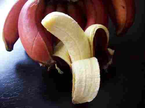 Chemical Free Absolutely Delicious Rich Natural Taste Healthy Fresh Red Banana
