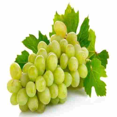 No Artificial Color Rich Sweet Delicious Taste Fresh Green Grapes