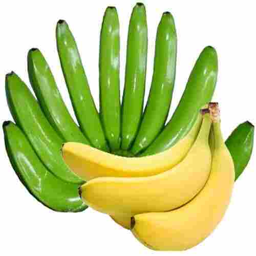 Absolutely Delicious Rich Natural Taste Chemical Free Healthy Fresh Banana
