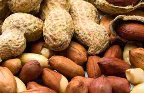 Indian Origin Organic Natural Taste and Color Whole Groundnut Seeds