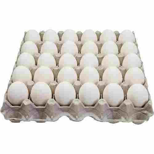 Fresh Medium Size Chicken White Table Egg