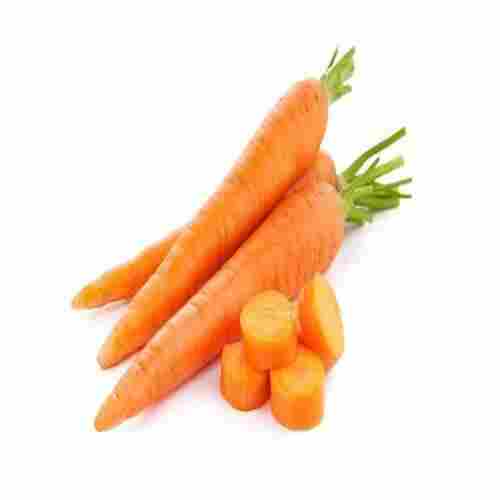 High Fiber Chemical Free Healthy Natural Rich Taste Orange Fresh Carrot