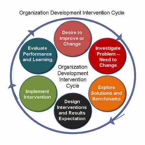 Organization Designing and Development Service
