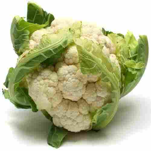 Rich Natural Delicious Taste Chemical Free Organic White Fresh Cauliflower