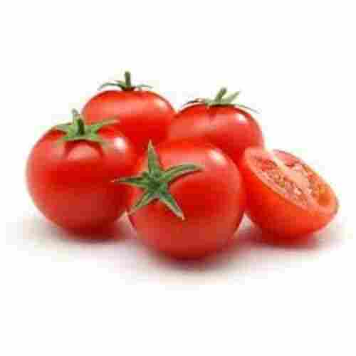Chemical Free Mild Flavor Healthy Natural Taste Red Fresh Tomato