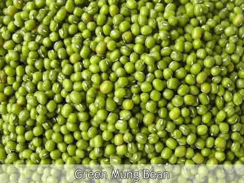 A Grade 100% Pure and Natural Whole Unpolished Green Gram