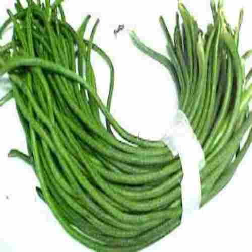 High Fiber Chemical Free Rich Natural Taste Green Fresh Long Beans