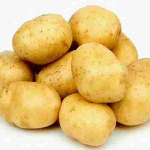 A Grade 100% Pure, Natural Fresh And Organic Potato for Pakoras and Dishes