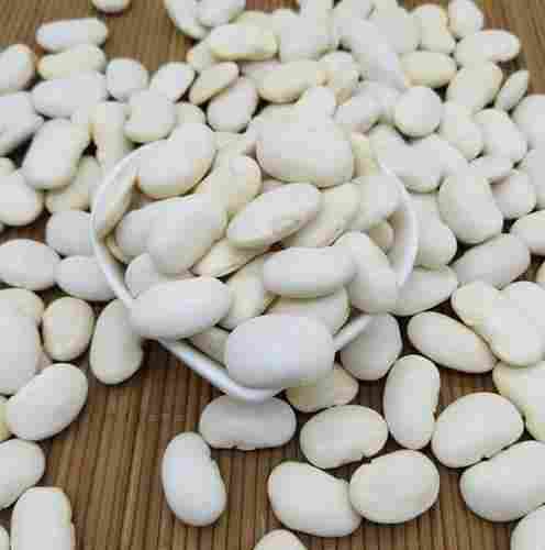 Quality White Kidney Beans