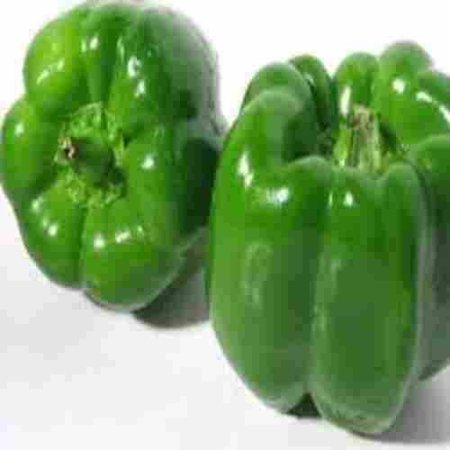 Natural Fine Rich Taste Chemical Free Healthy Green Fresh Bell Pepper