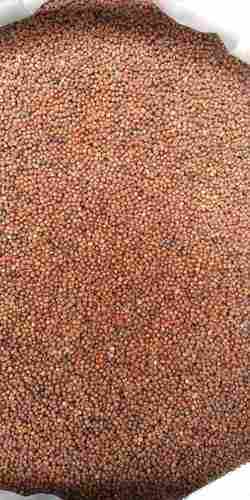 Organic Ragi (Finger Millet) 25-50 Kg With High In Protein And 65-75% Carbohydrates