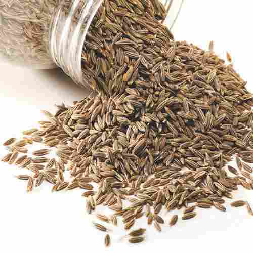 A Grade Brown Color 100% Natural and Pure Cumin Jeera Seeds
