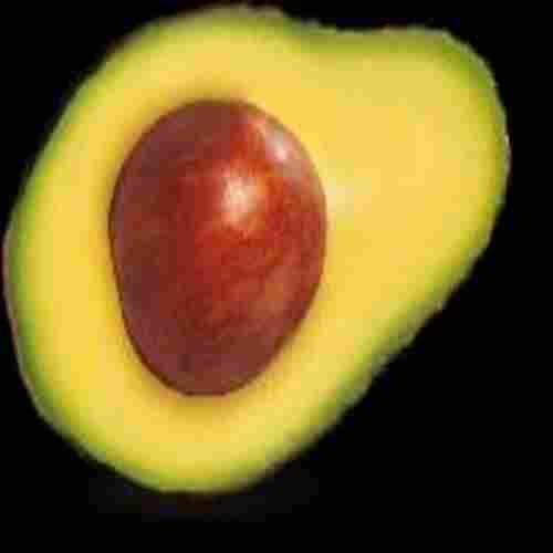 Nutritious Delicious Natural Taste No Artificial Color Healthy Green Fresh Avocados