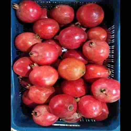 100% Organic Farm Fresh Sweet And Nutrient Rich Pomegranate Fruits