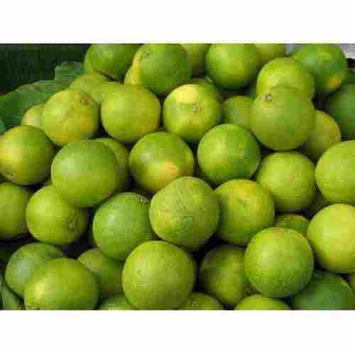 100 Percent Natural and Fresh Nagpur Orange 