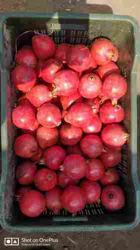 100 Percent Natural and Organic Pomegranate 