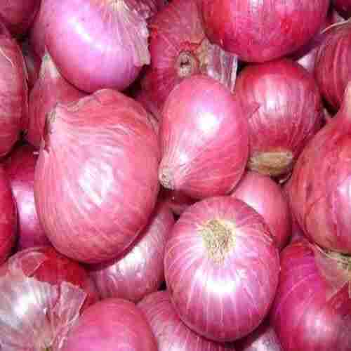 Chemical Free Enhance The Flavor Healthy Natural Taste Fresh Red Onion