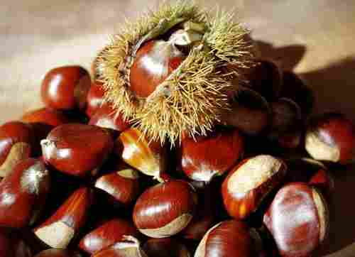 No Artificial Color Rich Aroma Rich In Vitamin B6 And Fiber Brown Natural Chestnut
