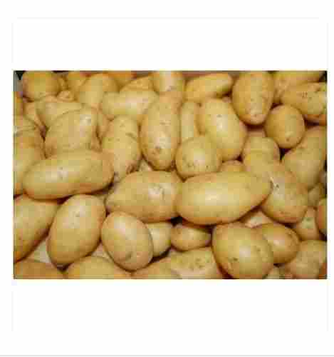 Delicious Taste Healthy And Nutritious Organic Mettupalayam Fresh Potato