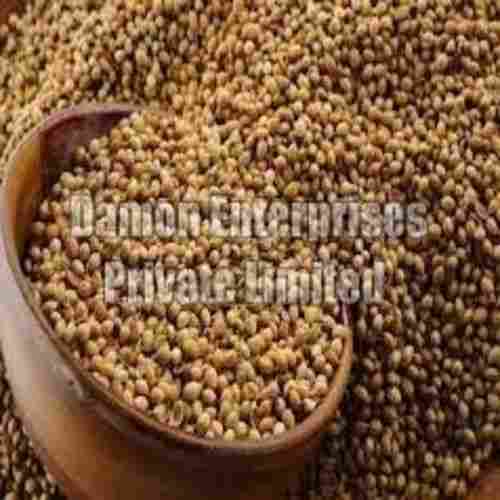 Long Shelf Life Healthy Natural Rich Fine Taste Dried Organic Coriander Seeds