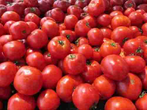 100% Natural Pure And Fresh Organic Red Tomato, Vitamin E, And Vitamin C