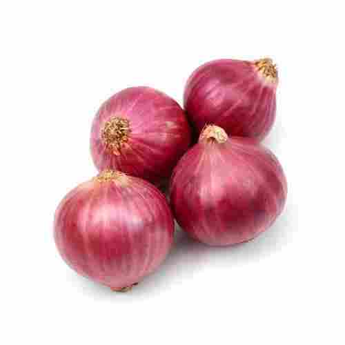 A Grade Indian Fresh Onion Red Color With High Nutritious Value