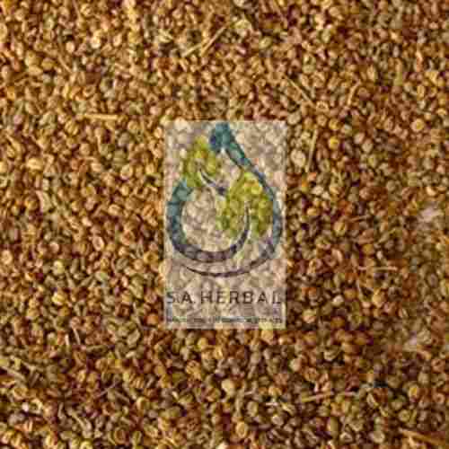 Apium Graveolens Seed (Celery) Extract Dry Powder