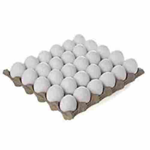 Fresh Chicken Large Eggs White Cartage With Rich In Vitamin D (Packaging 36 Pieces)