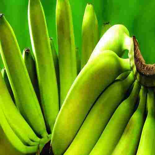 Absolutely Rich Natural Taste Chemical Free Healthy Fresh Green Banana