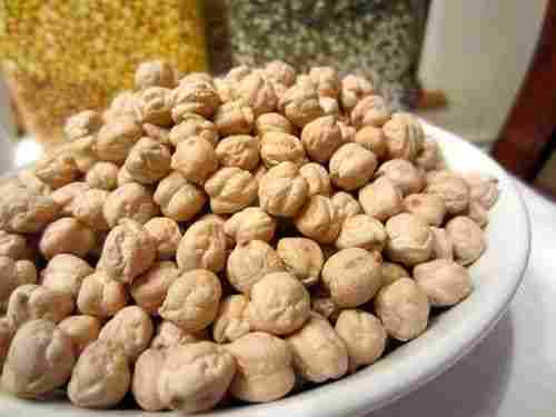 Rich In Antioxidant 100 Percent Organic Pure Dried Whole Kabuli Chana