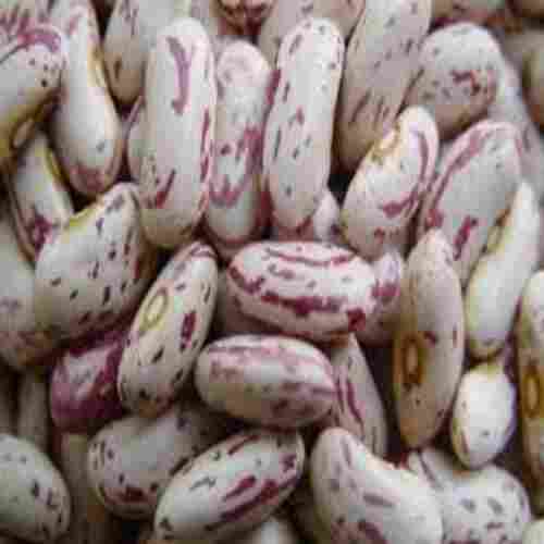 Chemical Free No Artificial Color Natural Taste Dried Speckled Kidney Beans