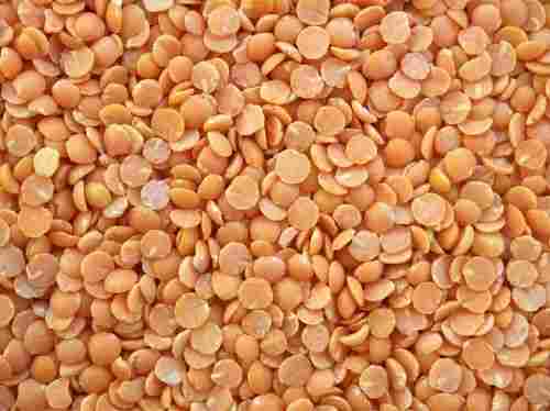 100% Natural Pure And Organic Orange Color Masoor Dal, Rich In Proteins