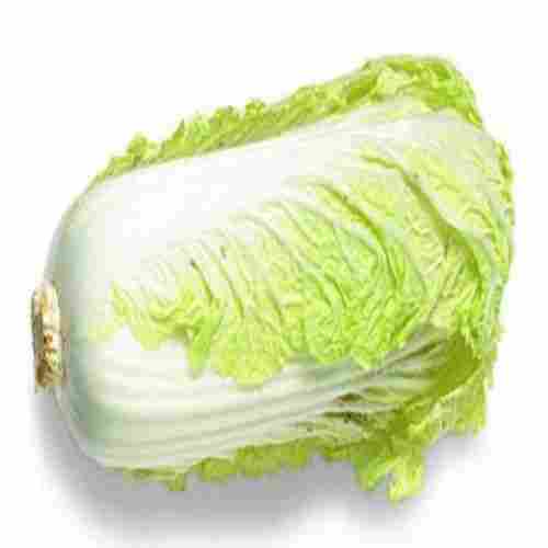 Healthy Rich Natural Fine Taste Chemical Free Green Fresh Chinese Cabbage