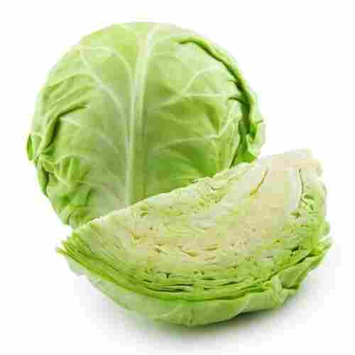 Floury Texture Healthy Rich Natural Fine Taste Green Organic Fresh Cabbage